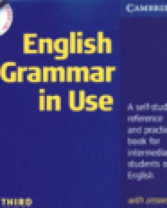 English Grammar In Use 3rd Edition Cd