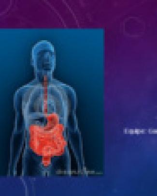 Sistema Digestório - (anatomia, Histologia, Mecanismo E Função De Cada órgão)