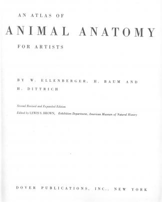 Atlas Animal Anatomy For Artists