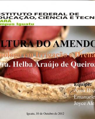 Cultura Do Amendoim2