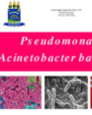 Pseudomonas E Acinetobacter Baumanni