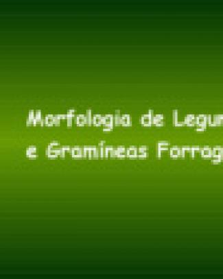 Morfologia De Plantas Forrageiras