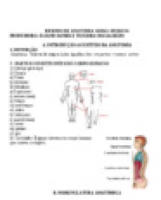 Resumo De Anatomia Humana