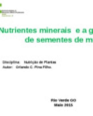 Nutri Minerais Germinação Sementes Milho