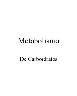 Metabolismo E Catabolismo