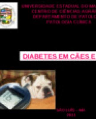 Diabetes Em Cães E Gatos