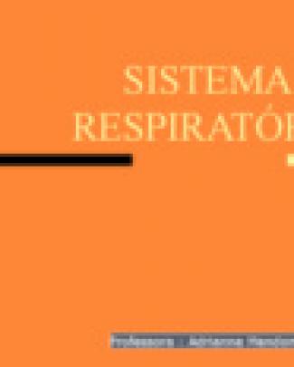 O Sistema Respiratorio